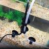 10Pcs ABS Plastic Rubber Aquarium Suction Cup Clip Oxygen Tube Clip  for Power Cord Filter Wire