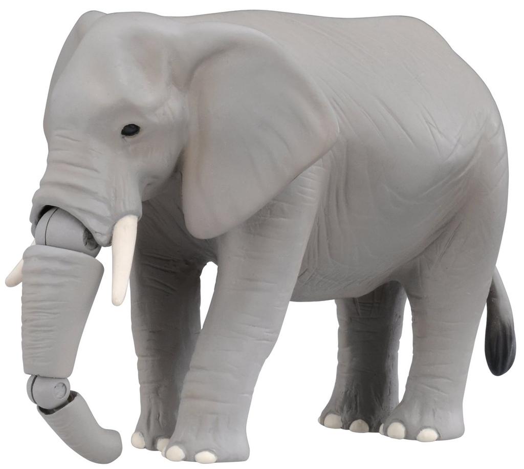 Ania Savannah Popular Animal Set AG-01