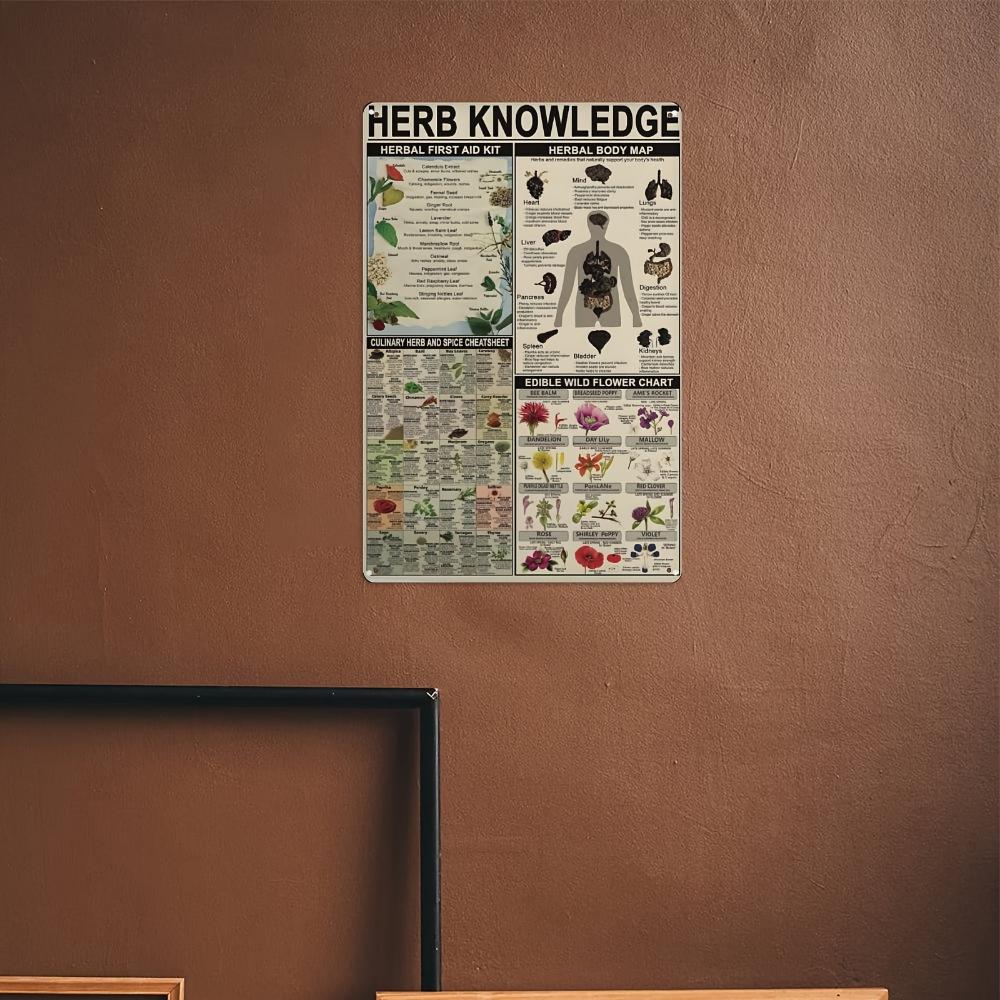1 Stück, Kräuterwissen Vintage Metallblechschild, Vintage Plakettendekoration, Hängeplakette, Wand/Zimmer/Zuhause/Restaurant/Bar/Café/Tür