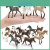 Wild Horse Pvc Model For Kids Educational Collectible Toy