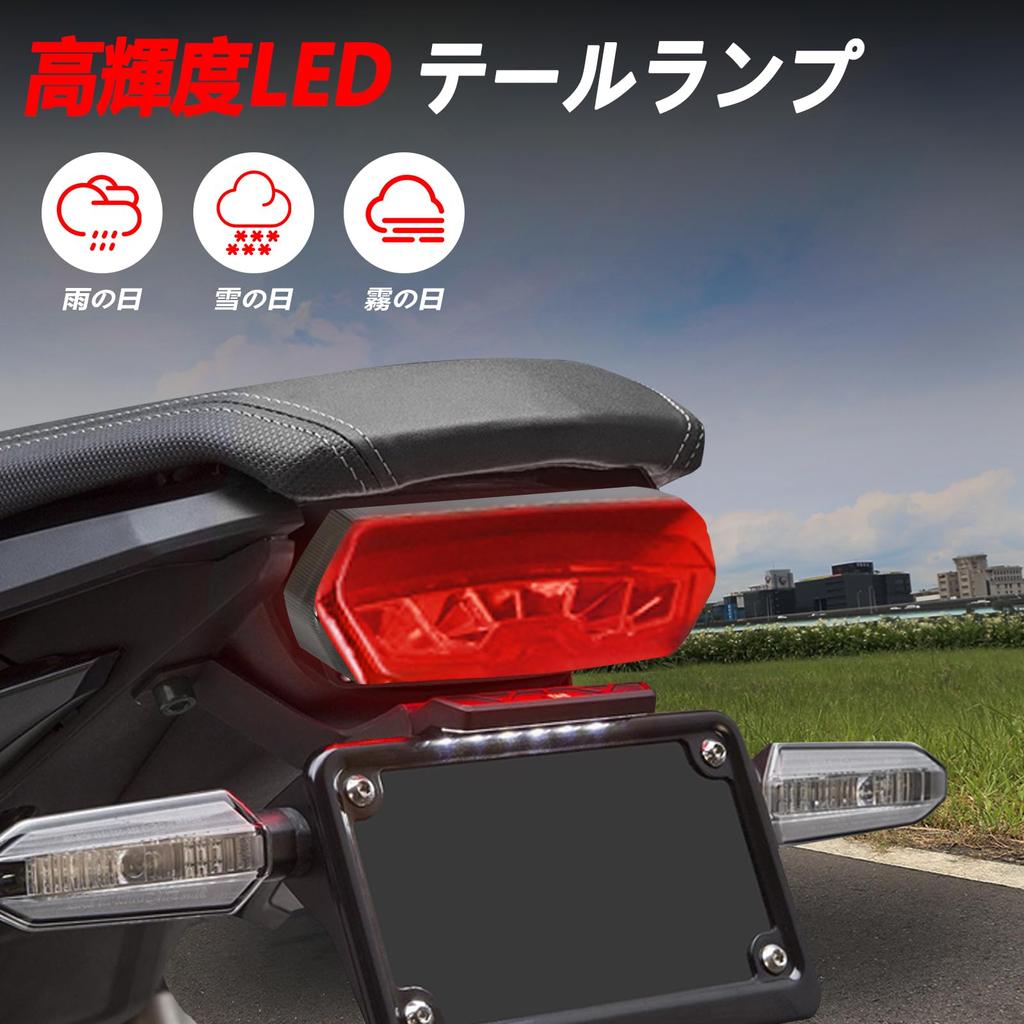 JFG Motorcycle Tail Lamp Turn Signal Integrated 12V LED Applicable