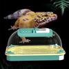 Lizards Box Container with Feeding Port Detachable Bottom Base and Handle Spacious Reptiles Keeper Enclosure