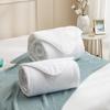 Luolai Antibacterial Silk 2-in-1 Comforter Set