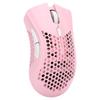 Rechargeable Wireless RGB Gaming Mouse Hollow Portable Office Mouse Computer Accessory