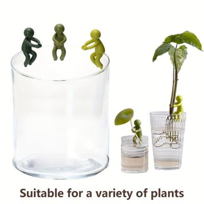 6Pcs Plant Propagation Holder Stems Sprouts Shoots Branch Plant Cutting Holder Fixing