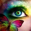 5D Diamond Painting Cross Stitch Butterfly Eyes Picture Of Rhinestones Handmade Gift Diamond Embroidery Home Decor