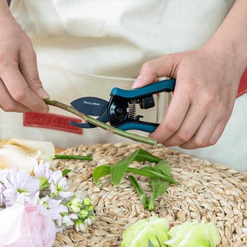Mini-Edelstahlschere für den Rückschnitt Haushaltszubehör Obstbaumschere Werkzeug zum Beschneiden von Ästen Gartenhand-Gadget Neu