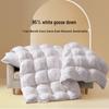 MERCURY Antibacterial White Goose Down Winter Quilt