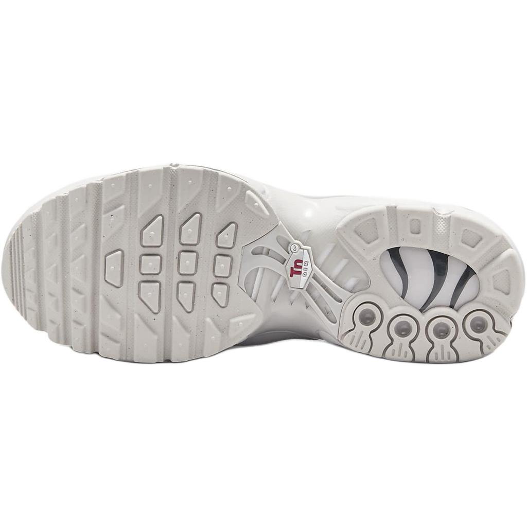 (GS) Nike Air Max Plus 'Light Iron Ore Gym Red Smoke Grey Metallic Silver' Kids' FZ0977-001
