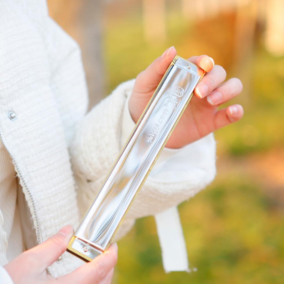 28 Löcher Mundharmonika Mundharmonika C-Taste Akzent Musikinstrument mit Koffer Anfänger Studenten Kinder Geburtstagsgeschenk