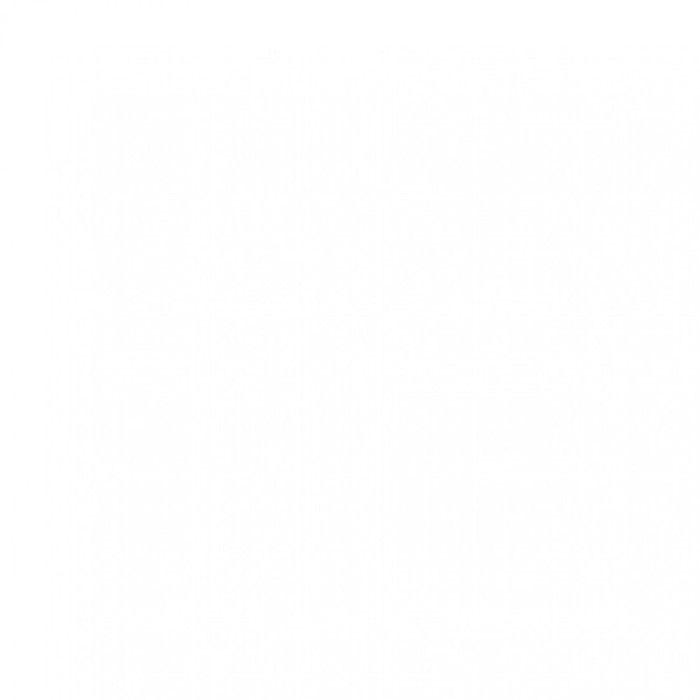 Acrylic Paint - Pébéo - MAT - 500ml - Permanent White - High Light Resistance