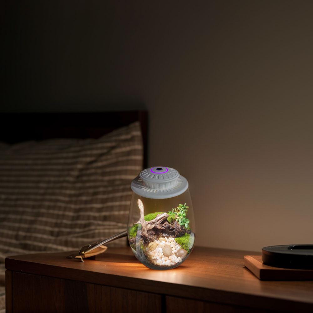 Fern Moss Micro-Landscape Grow Light 6500K Plant Grow Light LED Full Spectrum Growing Lamp for Miniature Gardening Landscape