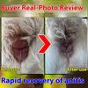 Dog anal adenitis, perianal inflammation, redness and swelling, spray Fuanshu, pet cat rubbing butt, pus blood plaster