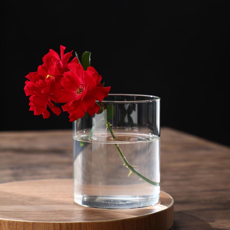 High Borosilicate Glass Hydroponic Vase & Desktop Planter - Straight Tube Design for Artistic Arrangements and Moss Ecosystem