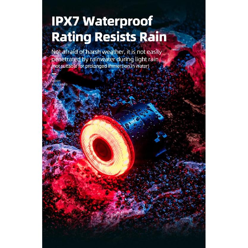 ROCKBROS Smart Bike Tail Light Bicycle Rear Lights IPX6 Waterproof Bike Lights for Night Riding with Type C Rechargeable