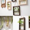 Wall Hanging Glass Planter Propagate Station Wall Hanging Glass Planter with Wooden Stand