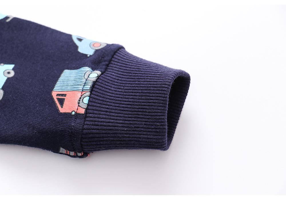 European Style Boys' Autumn/Winter Cotton Long Sleeve Hoodie