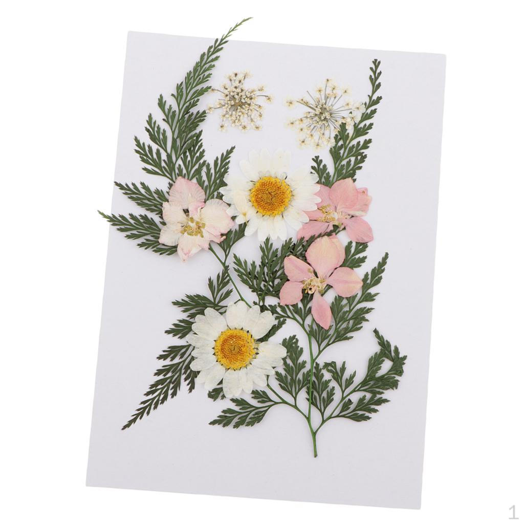 11 / 25pcs Flower Flowers Dried Pressed Leaves For Protective Phone Case Cover B