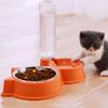Dog Bowl Automatic Dog Water Bowl Double Bowls for Dogs Feeding Drinking Cute Cat Food Bowls Detachable Dogs Food Container