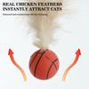 3pcs Cat Interactive Ball Toys Bouncy Balls With Feathers For Indoor Cat High Rebound Pet Flutter Balls Pet Accessories