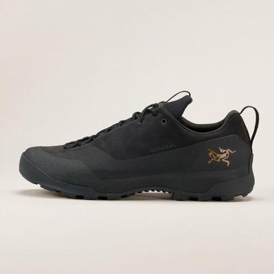 Arcteryx Men Concil Gtx Black Afpfm09833 Black