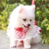 Dog Cat Bow Chest Harness Leash Comfortable Puppy Small Dogs Harnesses Vest for Party Shopping