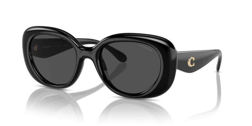 Coach HC8391U CR609 Size 53 Women's Sunglasses, Black,