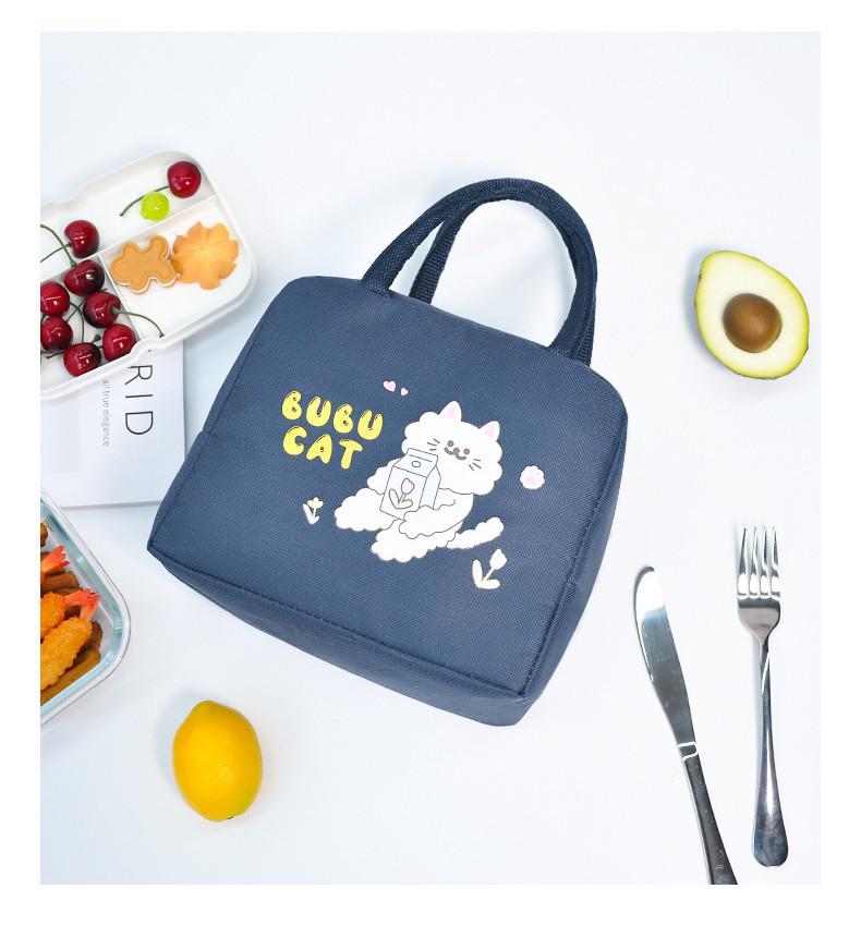 Fashionable Kids Lunch Tote Box Insulated Lunch Bag For School Picnic Outing