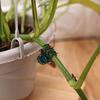 Orchid & Vine Seamless Clip - Indoor Plant Support Clips for Upward Growth.