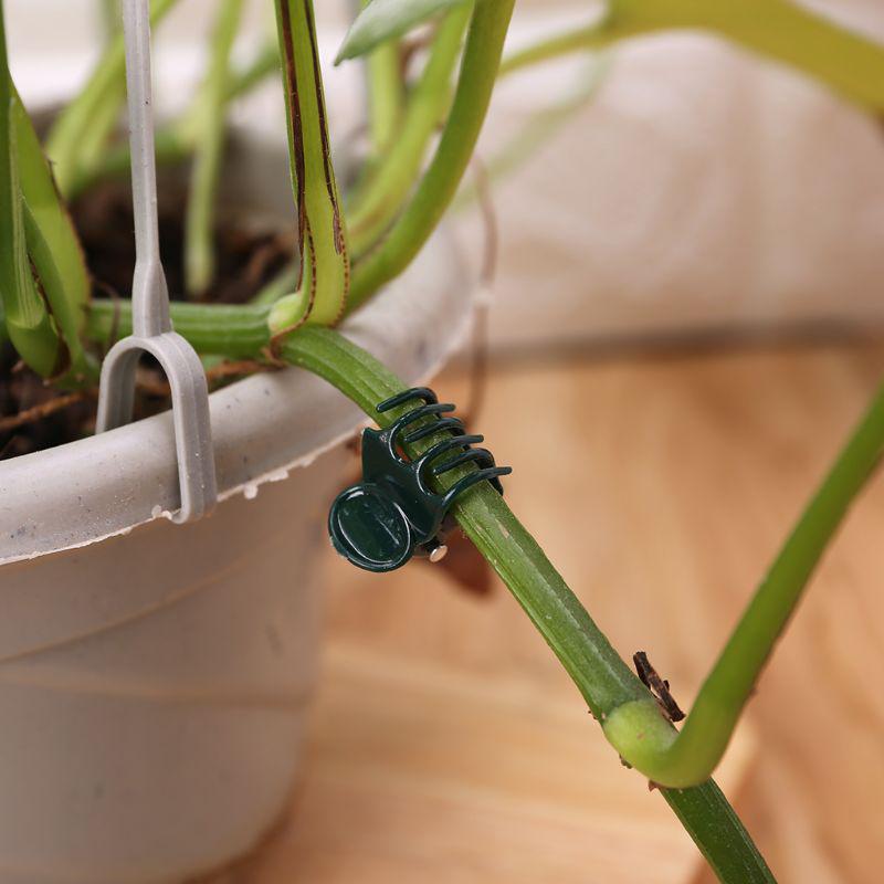 Orchid & Vine Seamless Clip - Indoor Plant Support Clips for Upward Growth.