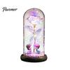 Birthday Rose Present Flower Gifts for Her Mom Wife Grandma Light Up Eternal Gift in A Dome Romantic Anniversary Valentine's Day Christmas