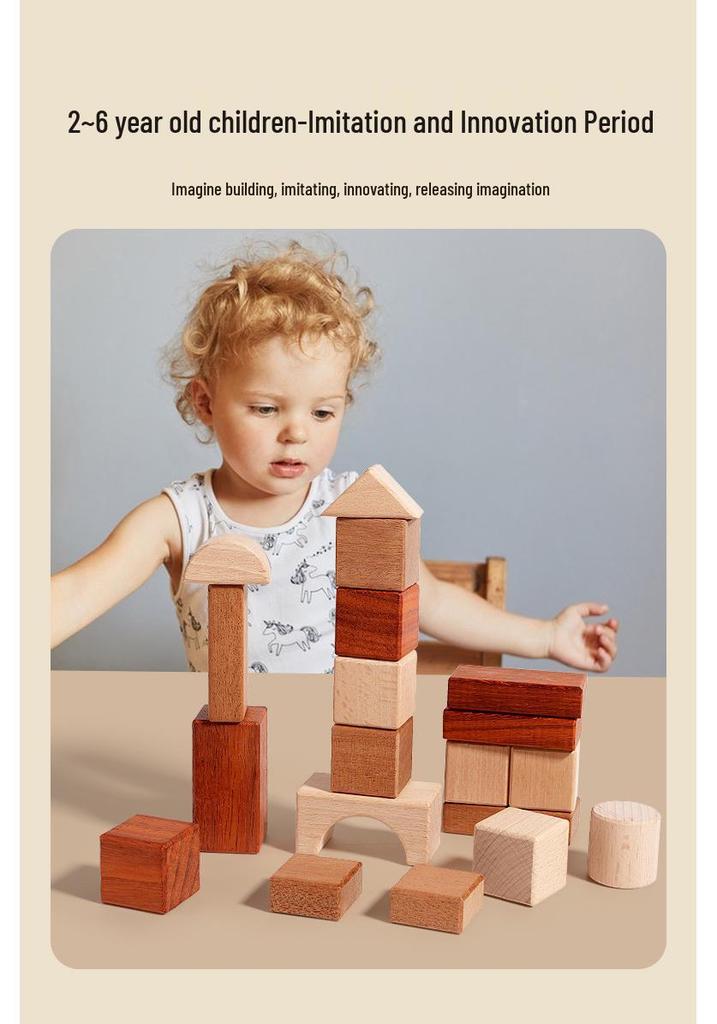 Beech Wood Building Blocks for Toddlers and Children Ages 3-6 – Unpainted, Solid, Chewable Educational Toy