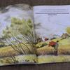 Tong Lifang Children's Educational Book Collection