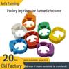 Adjustable Snap-On Poultry Leg Ring for Chickens, Ducks, and Geese with Baffle