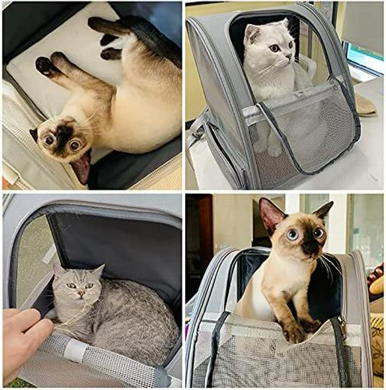 Portable Cross-Border Cat Backpack: Breathable, Foldable Outdoor Pet Bag