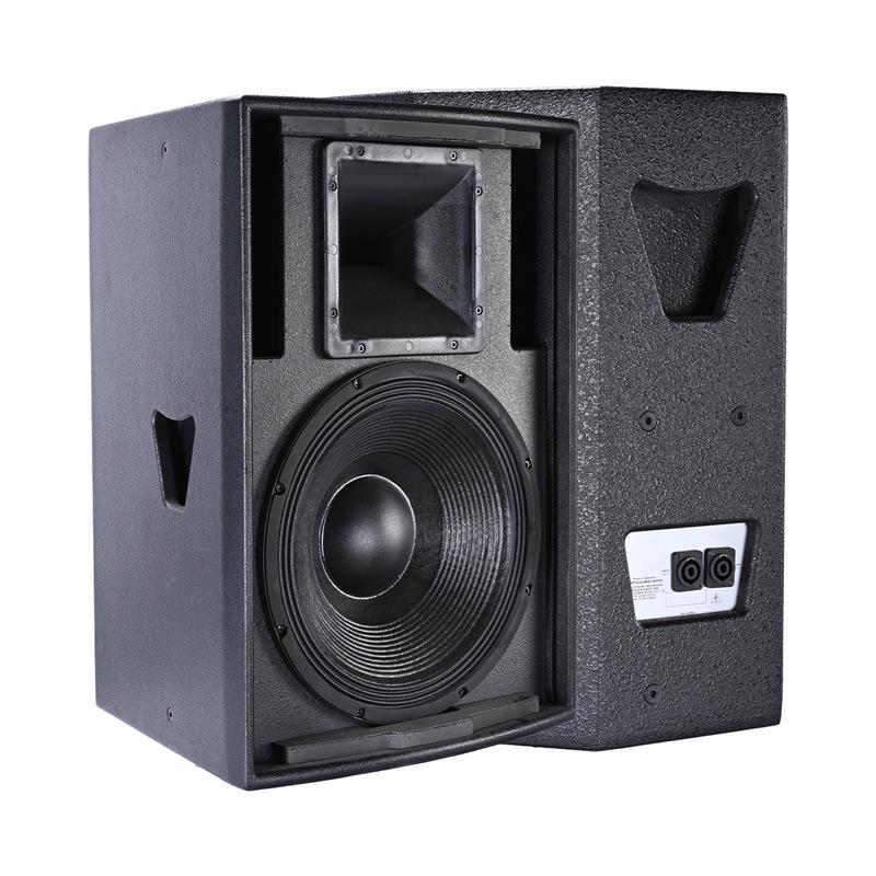 Professional Full-Range Speaker (10, 12, 15 Inch) for Home, KTV, Bar, Stage, Conference, Dance Studio
