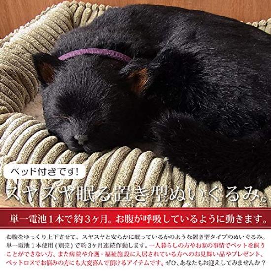 Ninian and Kino Perfect Pet Black Cat Plush Toy Cat Realistic Miscellaneous Goods Animals Healing Moving Present Gift Celebration Cute Cat Plush Toy