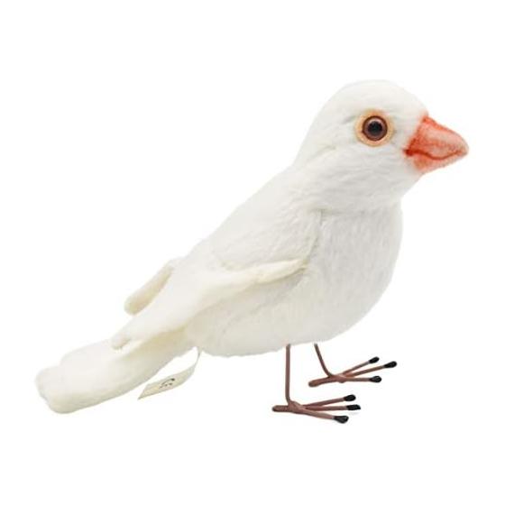 BH7244 HANSA White Buncho 13