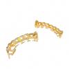Hot-Selling European & American Hip Hop Halloween Grillz: Chain & Hollow Out Zircon Inlaid Fangs