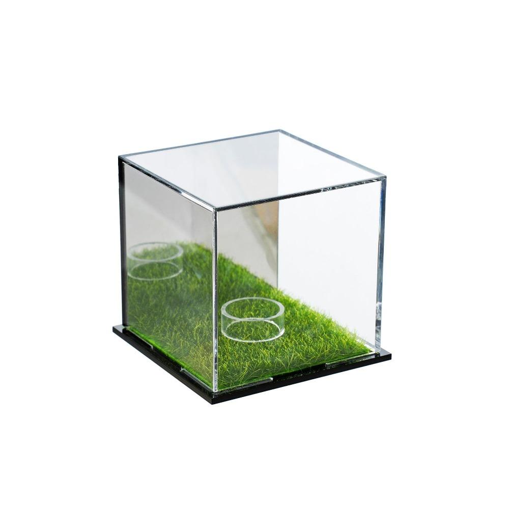 Transparent Golf Ball Display Case Lawn Design Golf Ball Acrylic Box  Golf Supplies