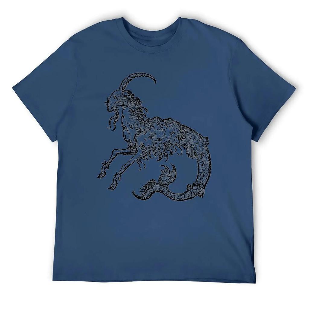 Capricorn Twelve Constellation (4) T-shirt Harajuku Move Tshirt Vintage Home Funny Novelty USA Size