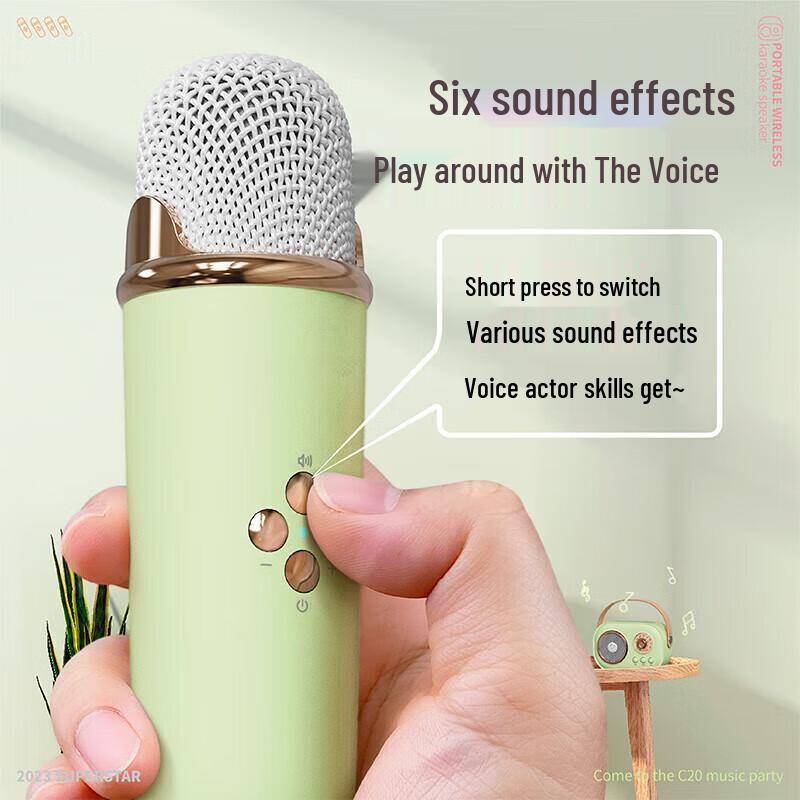 Wanwu C20 PLUS Retro Wireless Karaoke Bluetooth Speaker