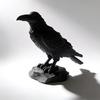 Nostalgie 3D Printed Crow Statue, Gothic Dark Academia Bird Sculpture, Matte Black Raven Figurine, Stable Rock Base for Desk Display Cabinet,