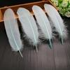 Diy Hard Floating Feathers And Goose Feathers Craft Decoration Children 'S Handmade Jewelry Accessories Home Clothing Decoration