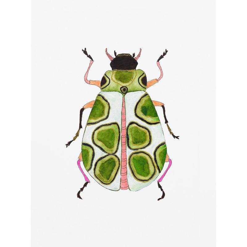 Aquarell Käfer Marienkäfer Poster Druck Buntes Insekt Leinwand Malerei Natur Wandkunst Bild Kinderzimmer Heimdekor