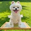 Hollow Out Anti Mosquito Bite Dog Vest UV Protection Anti Shedding Pet Clothing  Outdoor
