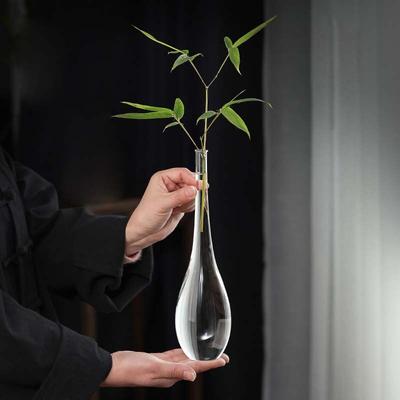 Japanese Style Glass Vase, Transparent Hydroponic Flower Container, Plant Home Decoration, Zen Inspired Guanyin Vase