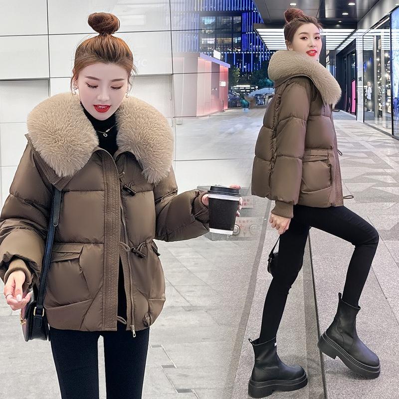 Loose Cotton-padded Winter Clothes, Fashion Big Fur Collar Cotton-padded Jacket, Women's Autumn and Winter Padded Jacket, Short Jacket