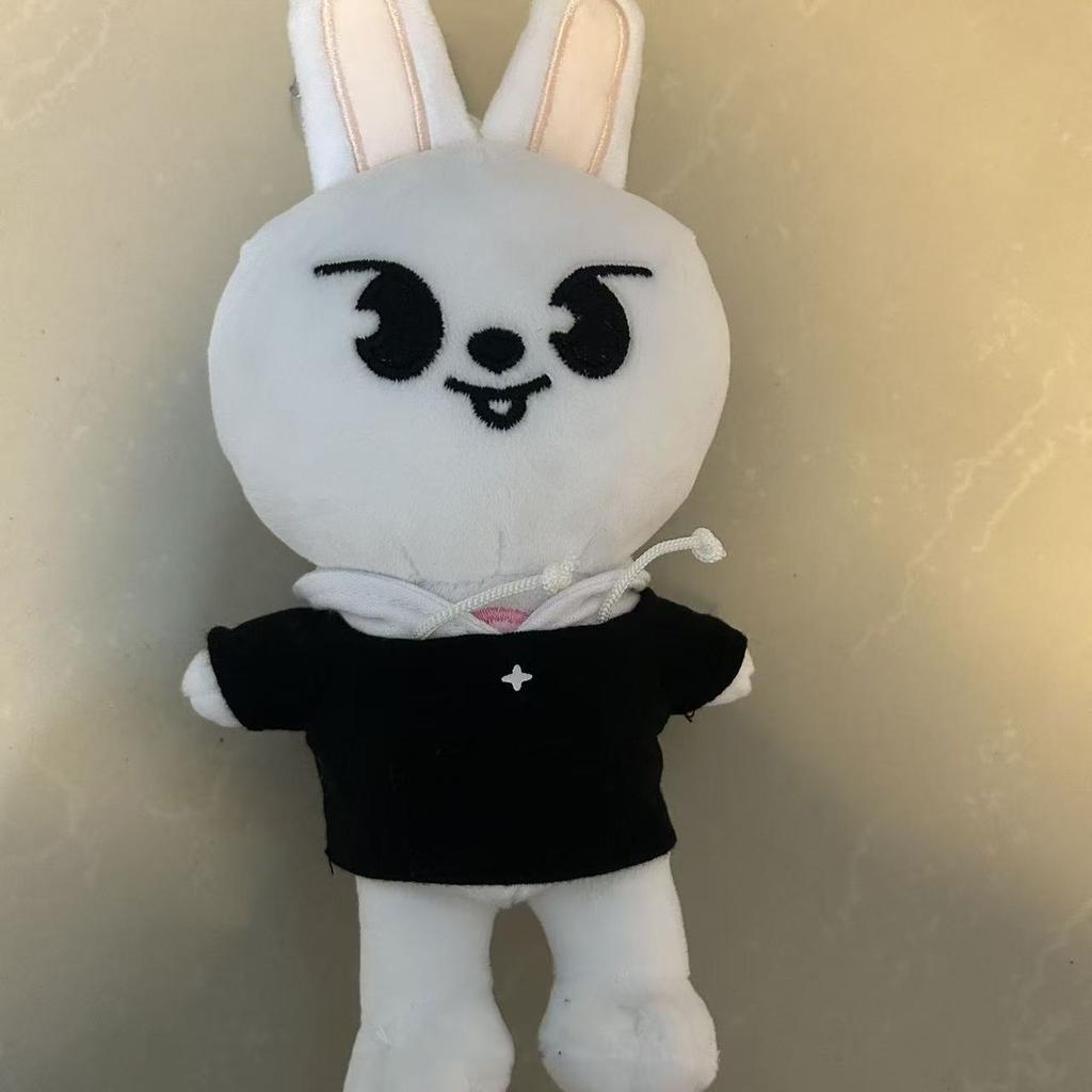 Stray Kids SKZOO Hoodie Puppe Plüschtier Kpop Puppe Geschenk