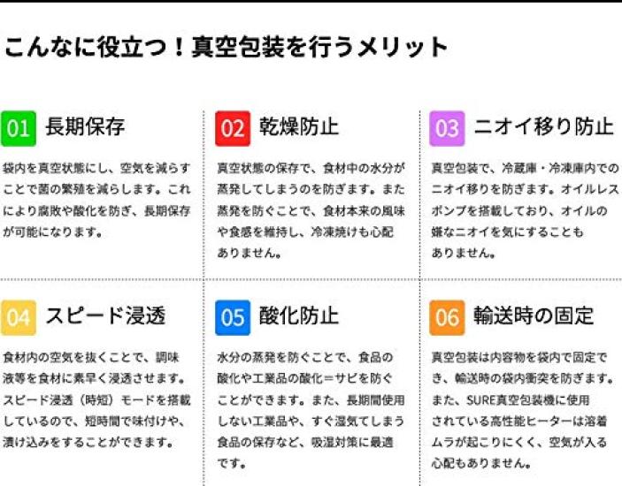 Ishizaki Electric Manufacturing Small Vacuum Packaging Machine Degassing Type NL302S5WA (SURE)